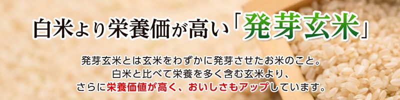 ɎMȈou茺Ă̒́vTCg